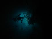 DSC07619